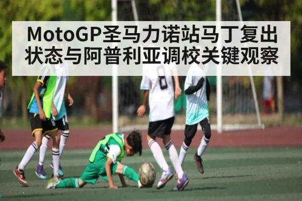MotoGP圣马力诺站马丁复出状态与阿普利亚调校关键观察 - www.leyuapp.com