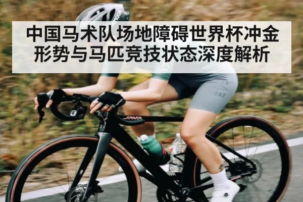 中国马术队场地障碍世界杯冲金形势与马匹竞技状态深度解析